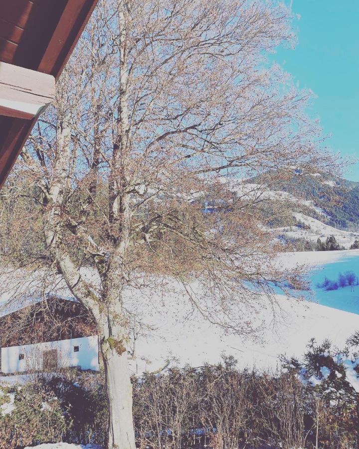 Villa Hof Oberhaus Kitzbühel Exterior foto